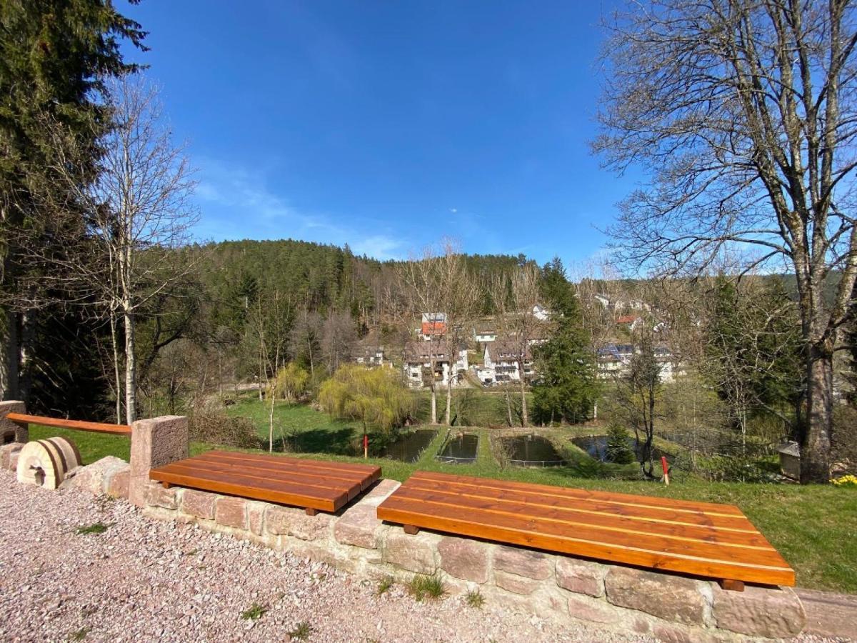 Ferienappartements-Ferienwohnung Steige Schramberg Buitenkant foto