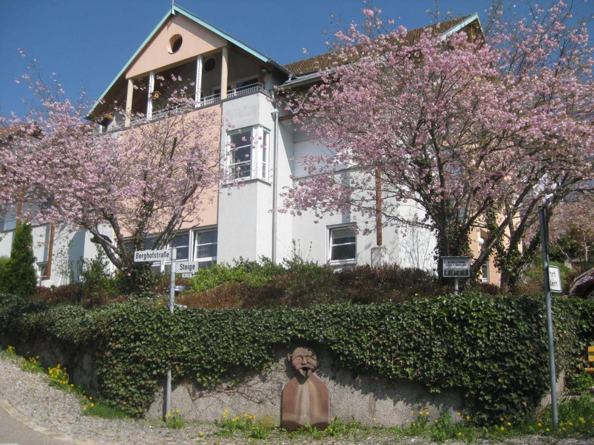 Ferienappartements-Ferienwohnung Steige Schramberg Buitenkant foto