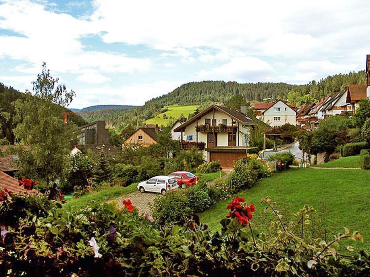 Ferienappartements-Ferienwohnung Steige Schramberg Buitenkant foto